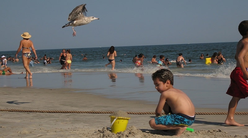 Полезное: Власти просят жителей не купаться на 14 пляжах в Нассау