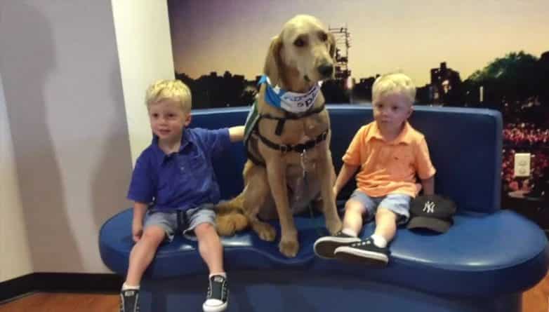 Общество: Пес-терапевт помогает больным детям в Kravis Children's Hospital