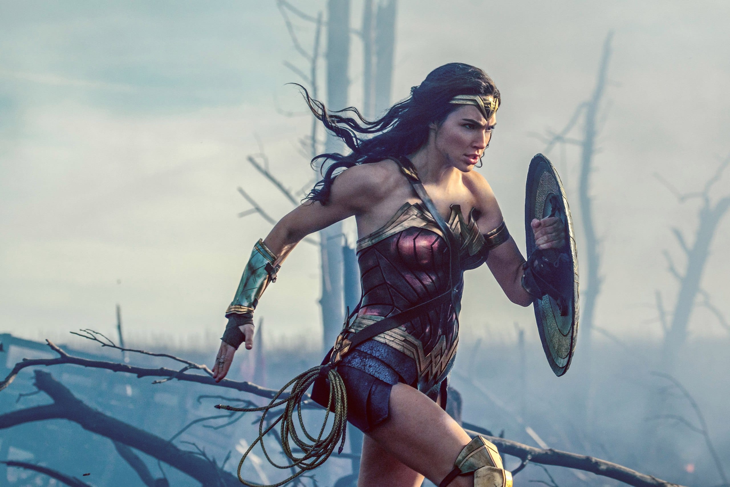 Колонки: Wonder Woman: подвиньтесь, мальчики, в городе новый герой