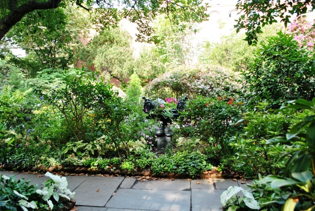 Общество: Неизвестный Нью-Йорк: тайные сады Манхеттена