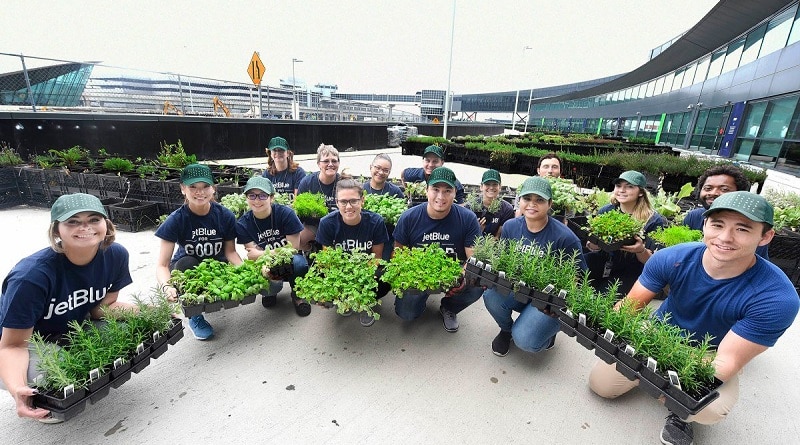 Общество: Сотрудники JetBlue борются со стрессом, выращивая овощи в аэропорту им. Кеннеди