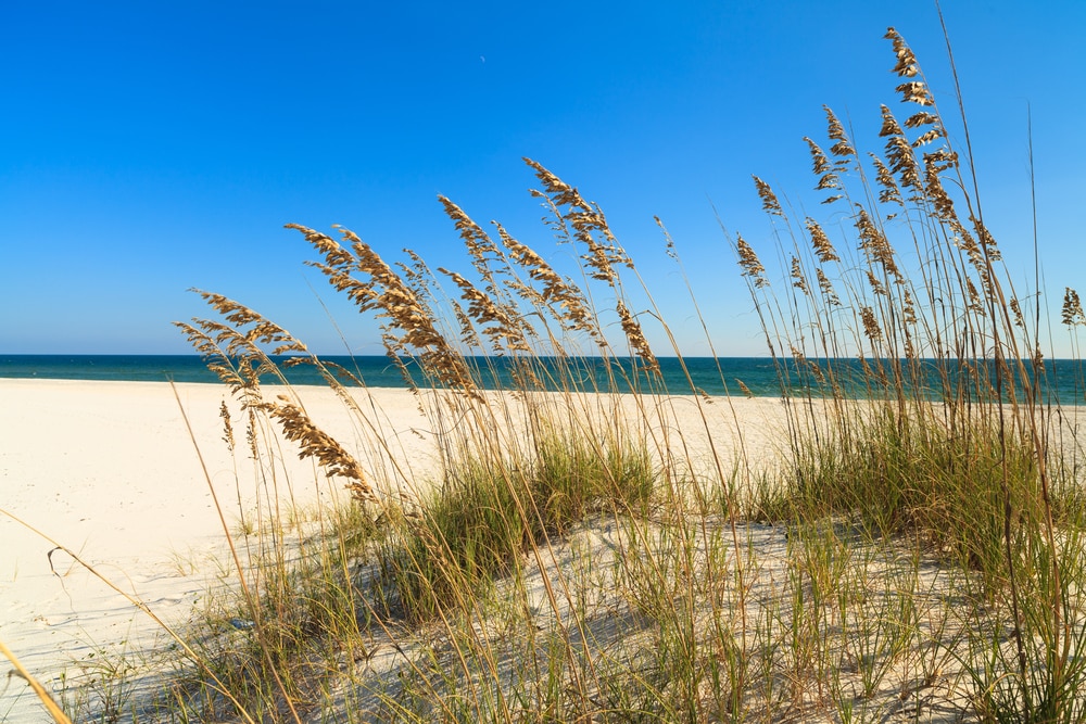 Путешествия: ТОП-10 лучших пляжей в США в 2017 году рис 4
