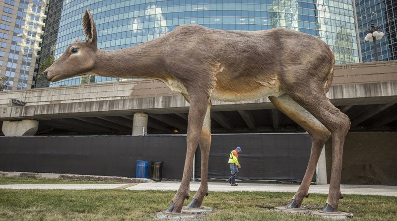 Общество: В Чикаго замечен трехметровый олень (фото)