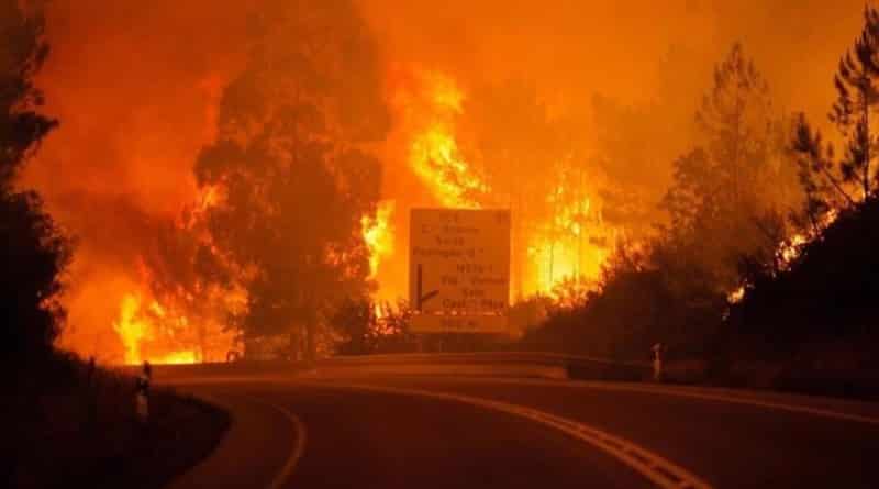 Общество: Лесные пожары в Португалии: более 60 погибших (фото)