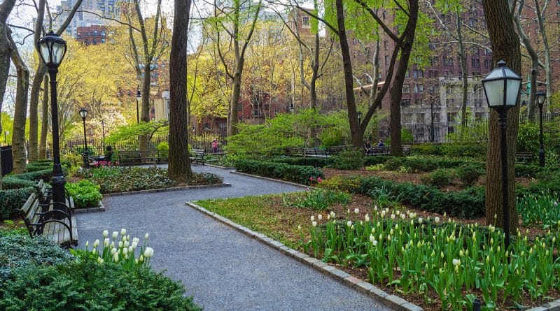 Общество: Неизвестный Нью-Йорк: тайные сады Манхеттена