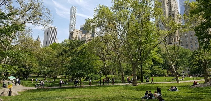 Путешествия: Лето в Нью-Йорке: чем заняться в Центральном парке