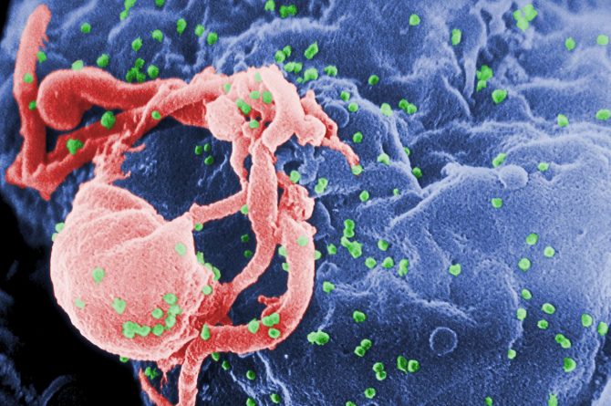 Здоровье: Новая надежда: доктора учатся лечить ВИЧ