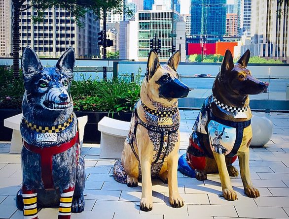 Искусство: Полицейским собакам посвятили арт-инсталляцию в Чикаго
