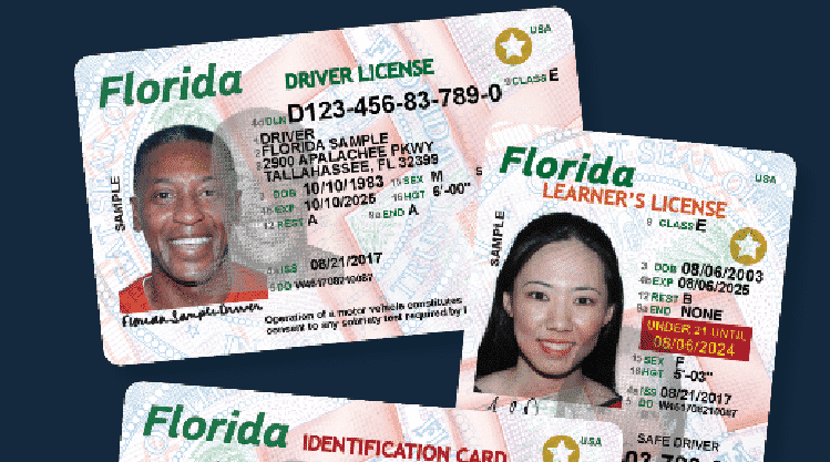 Общество: Во Флориде внедряют водительские права нового образца