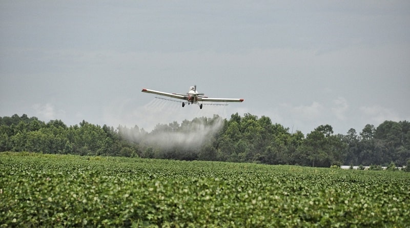 Общество: Жители Майами судятся с властями, требуя прекратить распыление пестицидов