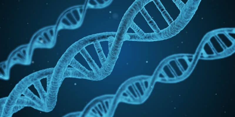 Здоровье: Американские ученые впервые изменили геном человеческого эмбриона