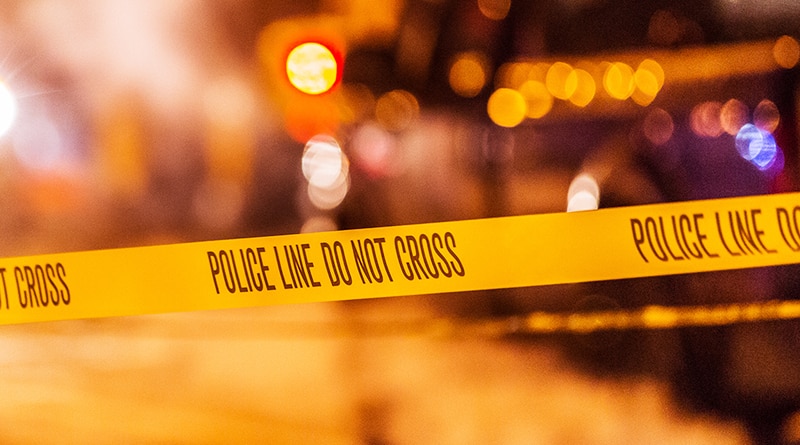 Происшествия: Рядом с психиатрической больницей в Бруклине обнаружены человеческие останки