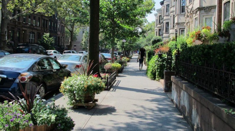 Общество: В Бруклине выбрали самый зелёный квартал
