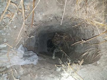 Популярное: На американо-мексиканской границе обнаружен очередной туннель