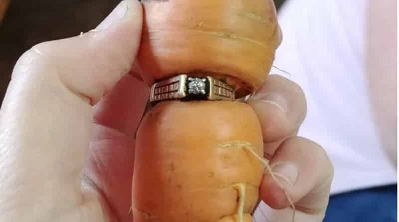 Общество: Женщина нашла обручальное кольцо, пропавшее 13 лет назад, на выросшей морковке