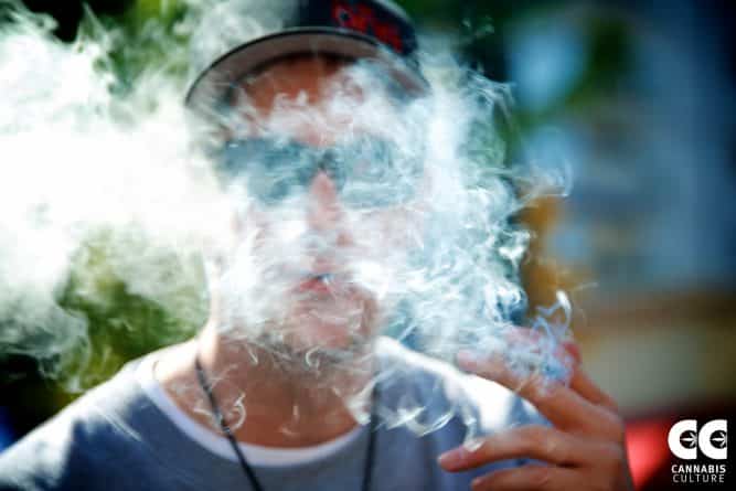 Общество: В Неваде могут легализировать салоны марихуаны