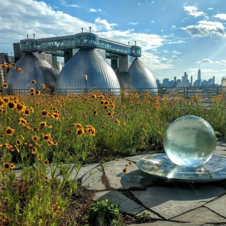 Афиша: Фестиваль цветов пройдет на крыше в Бруклине