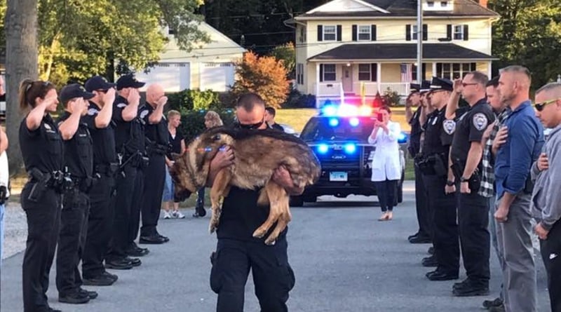 Общество: Десятки полицейских выстроились, чтобы попрощаться со служебной собакой