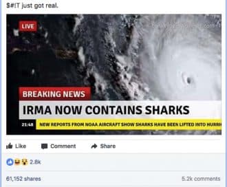 Общество: Список фейковых новостей об урагане Ирма