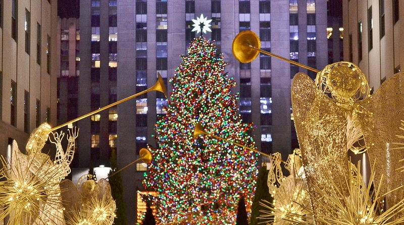 Общество: Выбрана рождественская елка, которую установят у Rockefeller Center