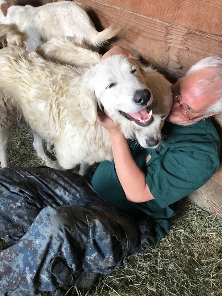 Происшествия: Пастушья собака спасла 7 козлят от пожара рис 2