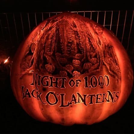 Общество: Night of 1,000 Jack O'Lanterns: тыквенные шедевры (фото)