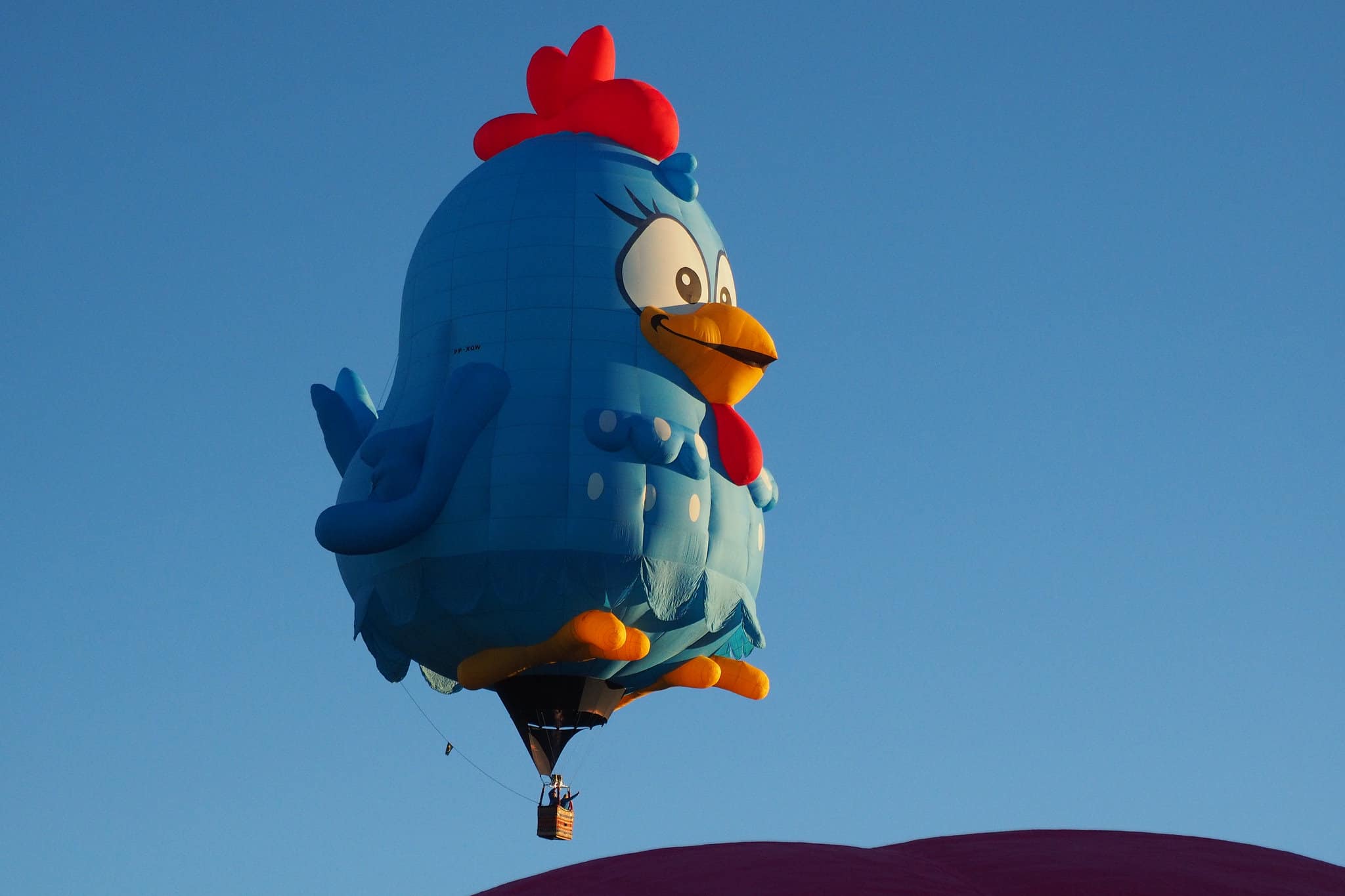 Путешествия: Albuquerque Balloon Fiesta рис 14