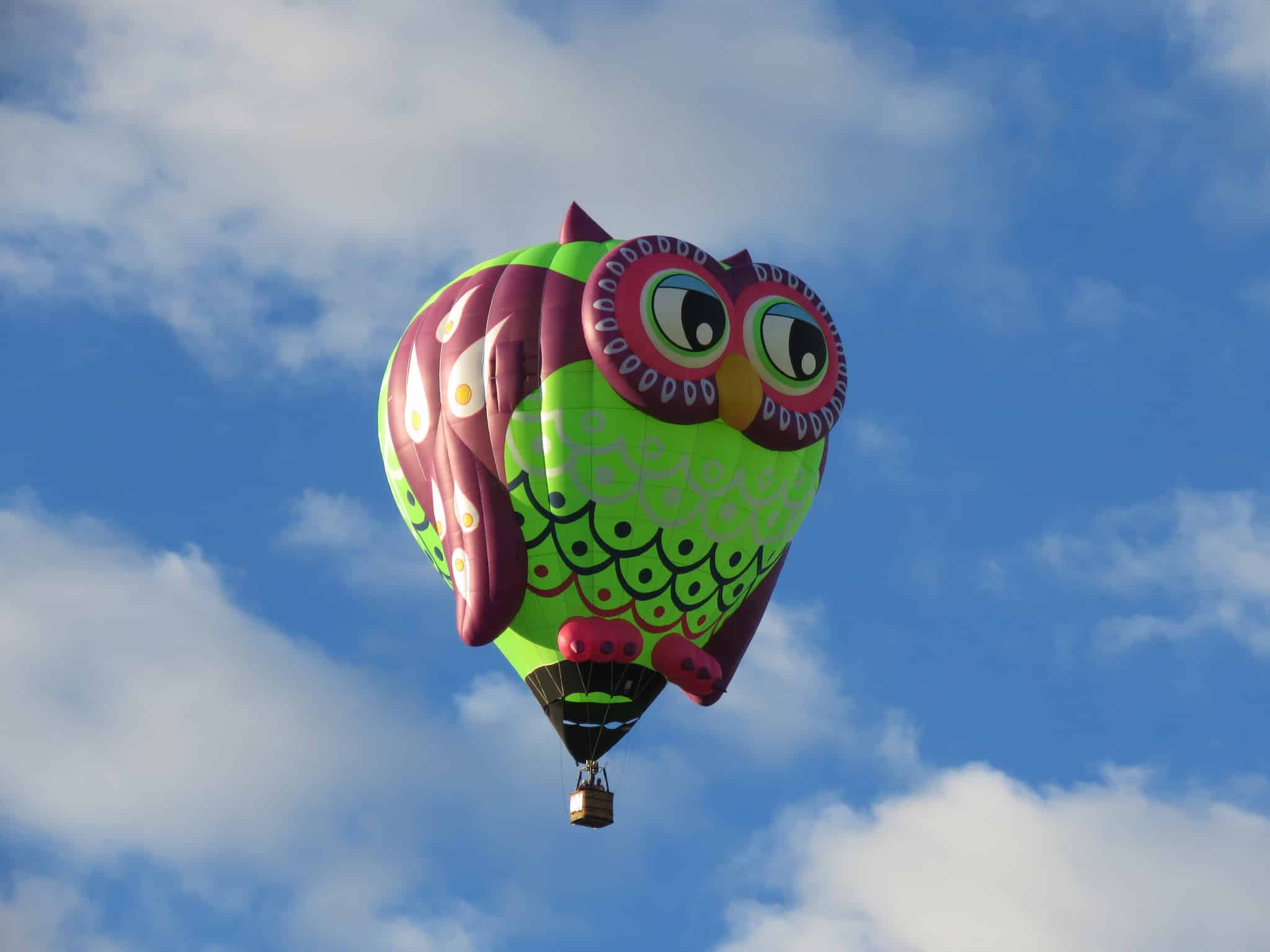 Путешествия: Albuquerque Balloon Fiesta рис 4