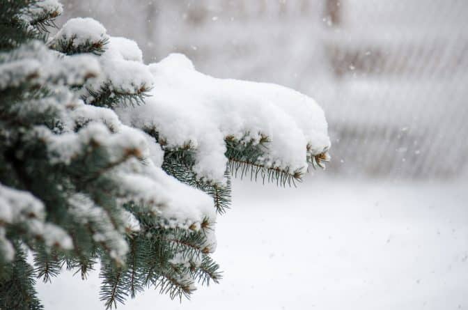 Погода: К выходным на Северо-запад США придет зима