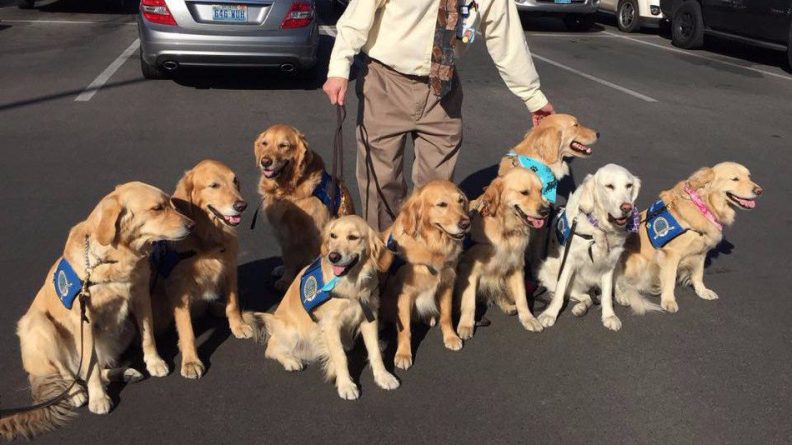 Общество: Собаки помогают жертвам стрельбы в Лас-Вегасе прийти в себя