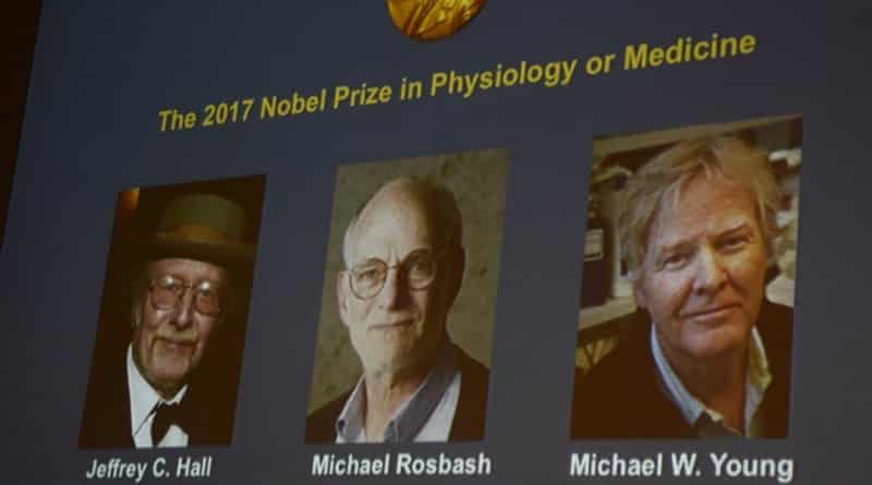 Полезное: Нобелевскую премию по медицине получили трое американцев