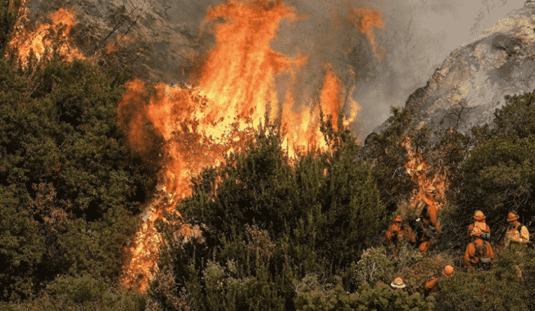 Популярное: Печальная статистика крупнейшего пожара в истории Калифорнии: 42 погибших и миллиардный ущерб