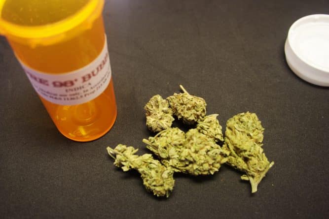 Закон и право: Эндрю Куомо разрешил лечить марихуаной ПТСР
