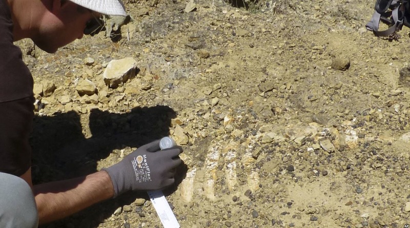 Общество: Останки древнего существа обнаружили в Калифорнии