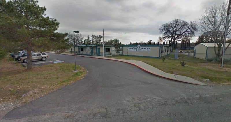 Происшествия: Стрельба в начальной школе в Калифорнии: 5 убитых, 3 раненых (обновляется)