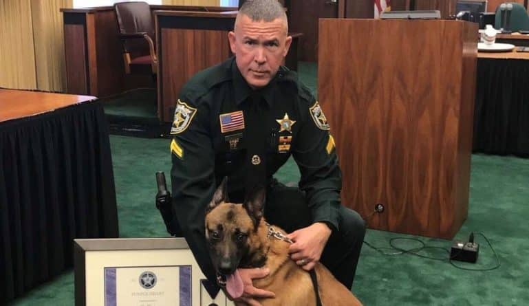 Общество: Во Флориде служебный пес-герой прикрыл полицейского от пули