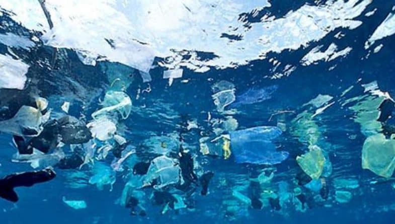 Бизнес: Пластик из океана превращают в дизайнерские очки