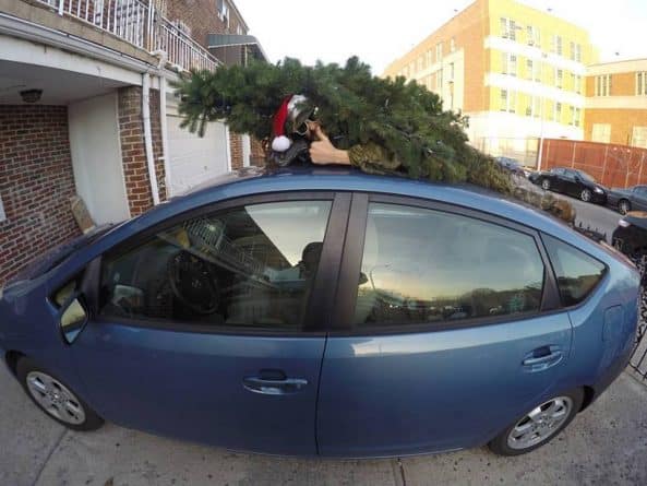 Общество: Человек-елка дарит новогоднее настроение жителям восточного побережья