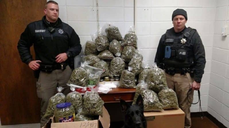 Происшествия: Супруги сказали полиции, что перевозили 27 кг марихуаны для рождественских подарков