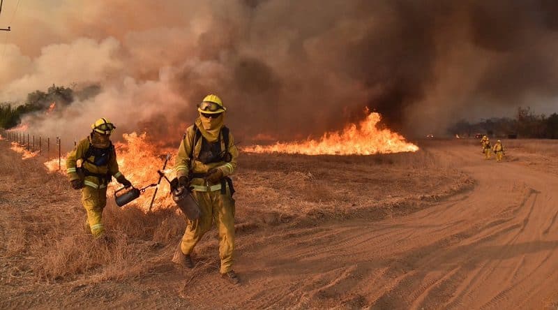 Происшествия: Лесной пожар Thomas - второй по масштабам за всю историю Калифорнии