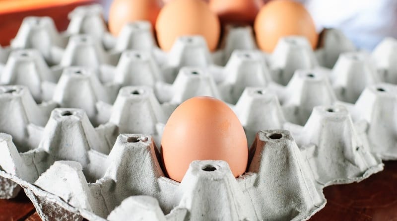 Закон и право: Трамп отменит правила, устанавливающие условия производства органических яиц