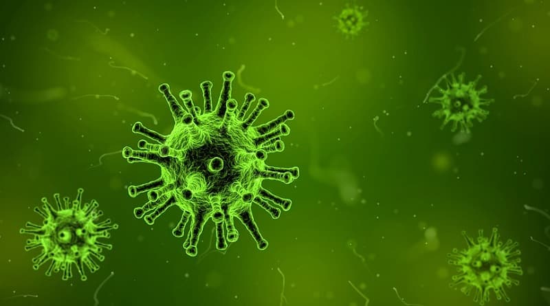 Общество: В США отменили мораторий на разработку смертоносных вирусов