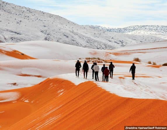В мире: В пустыне Сахара выпало 40 см снега