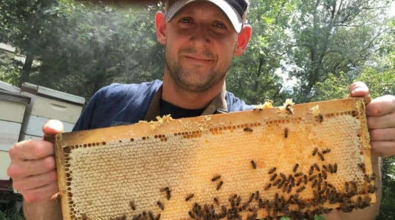 Происшествия: Дело об убийстве 500 тыс. пчел в Айове раскрыто: малолетние вандалы арестованы