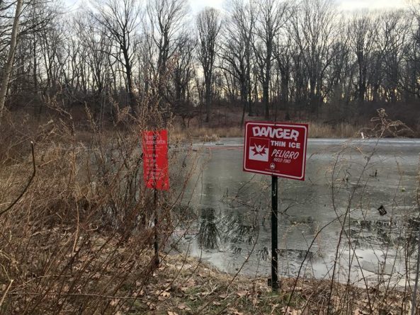 Локальные новости: 11-летний мальчик погиб, провалившись под лед на нью-йоркском пруду