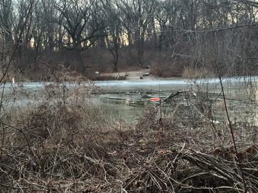 Локальные новости: 11-летний мальчик погиб, провалившись под лед на нью-йоркском пруду