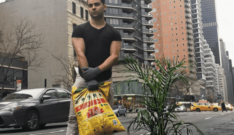 Локальные новости: YouTube-пранкер засадил цветами выбоины на дорогах Нью-Йорка