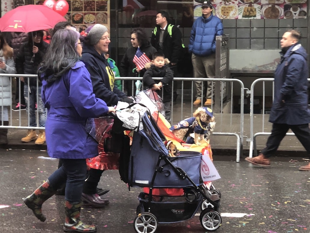 Афиша: В Нью-Йорке прошел парад в честь Китайского Нового года (фото) рис 19