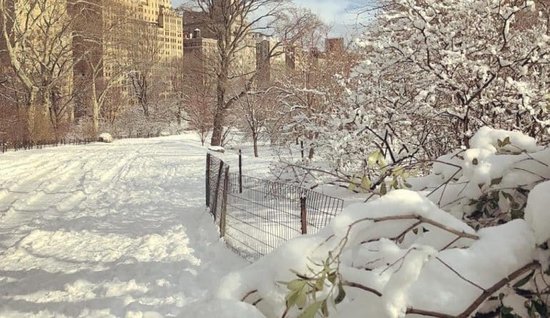 Локальные новости: 3 человека погибли во время снегопада в Нью-Йорке и Нью-Джерси