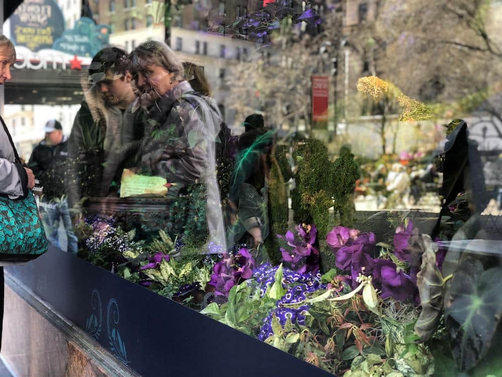 Локальные новости: Macy's Flower Show 2018 | Путешествуем по сказочному королевству (фото)